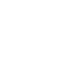 knee